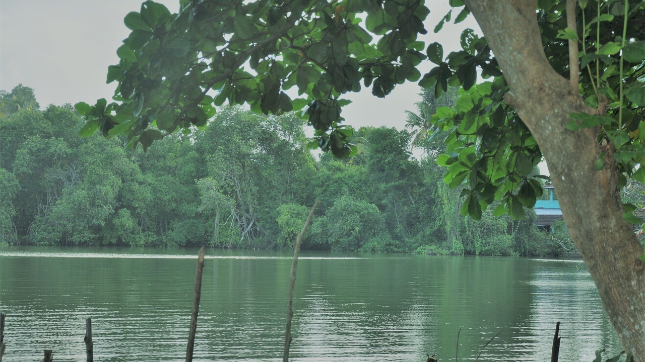 Photo of Others in Quilon