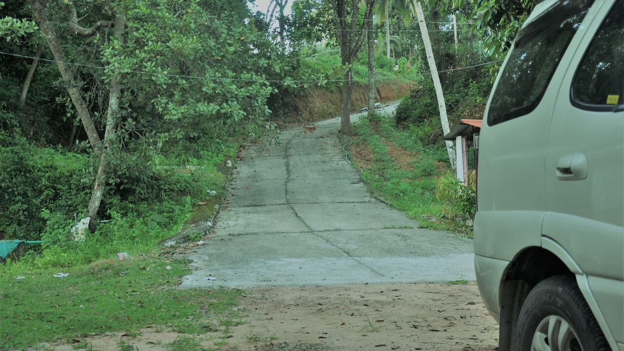 Photo of Outdoor in Quilon