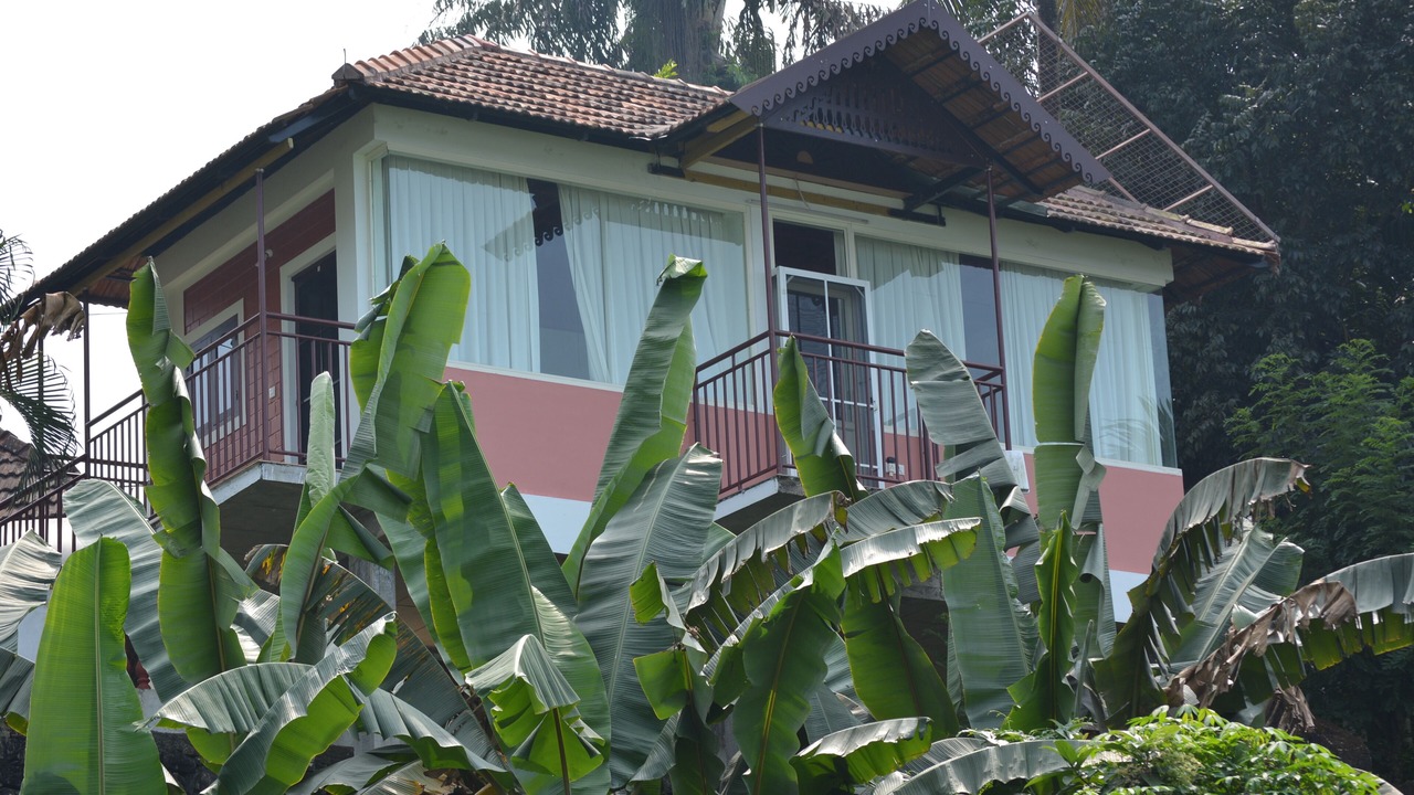 Photo of Outdoor in Perumbavoor