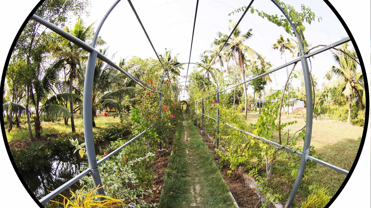Photo of Outdoor in Munroe Island