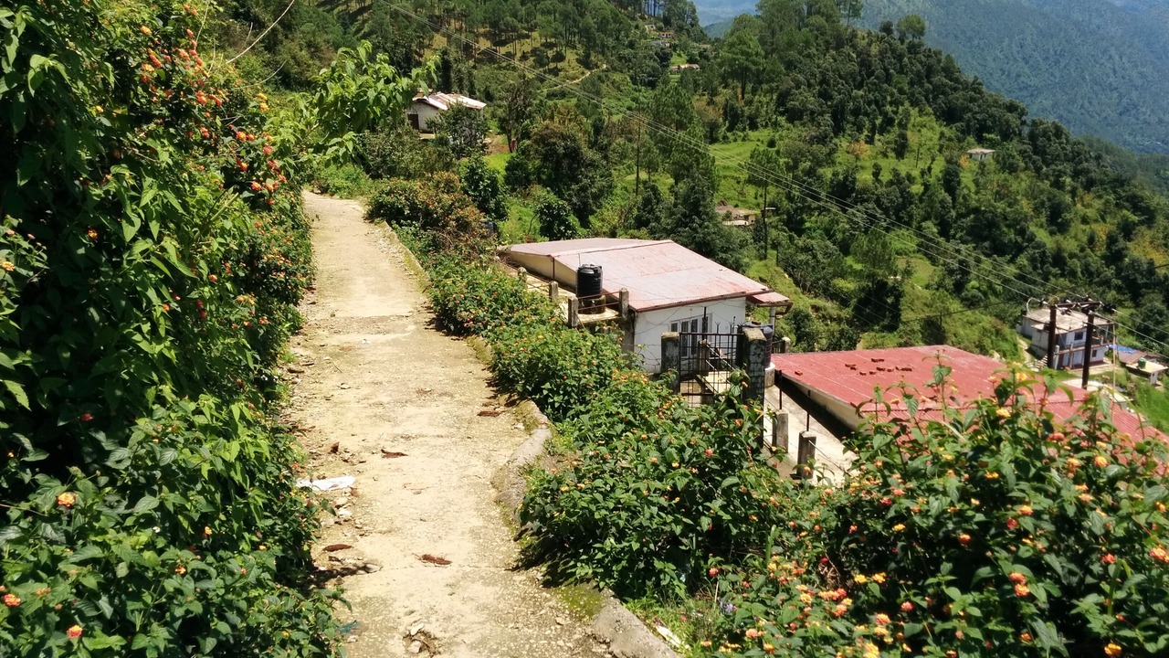 Photo of Outdoor in Bhowali