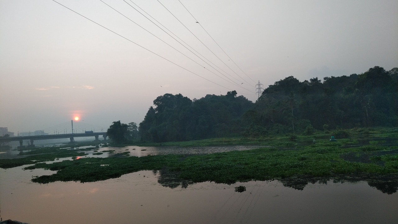 Photo of Others in Kakkanad