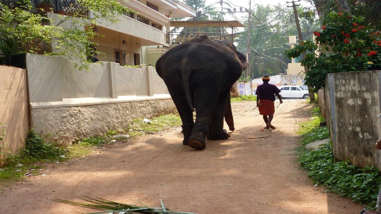 Photo of Outdoor in Kovalam