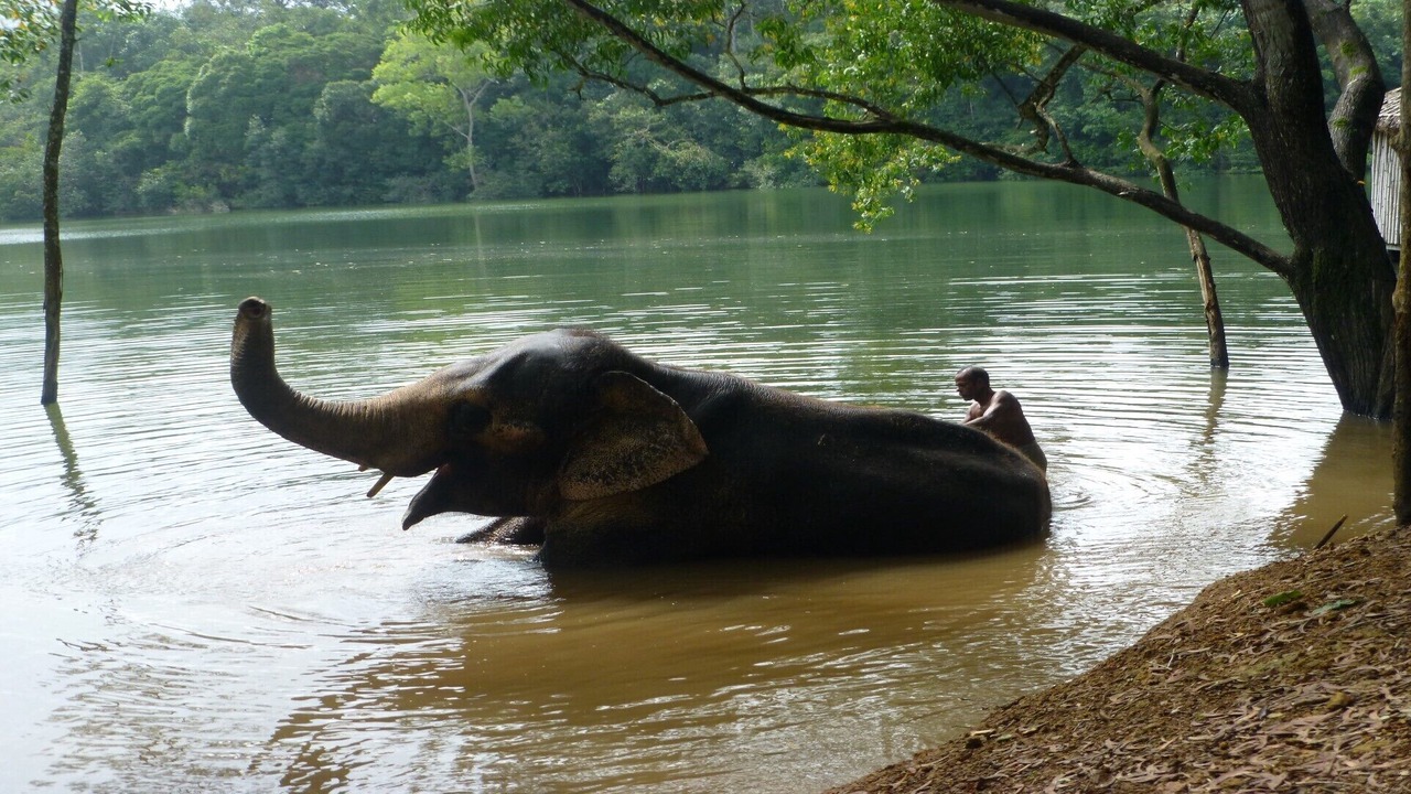 Photo of Others in Kovalam