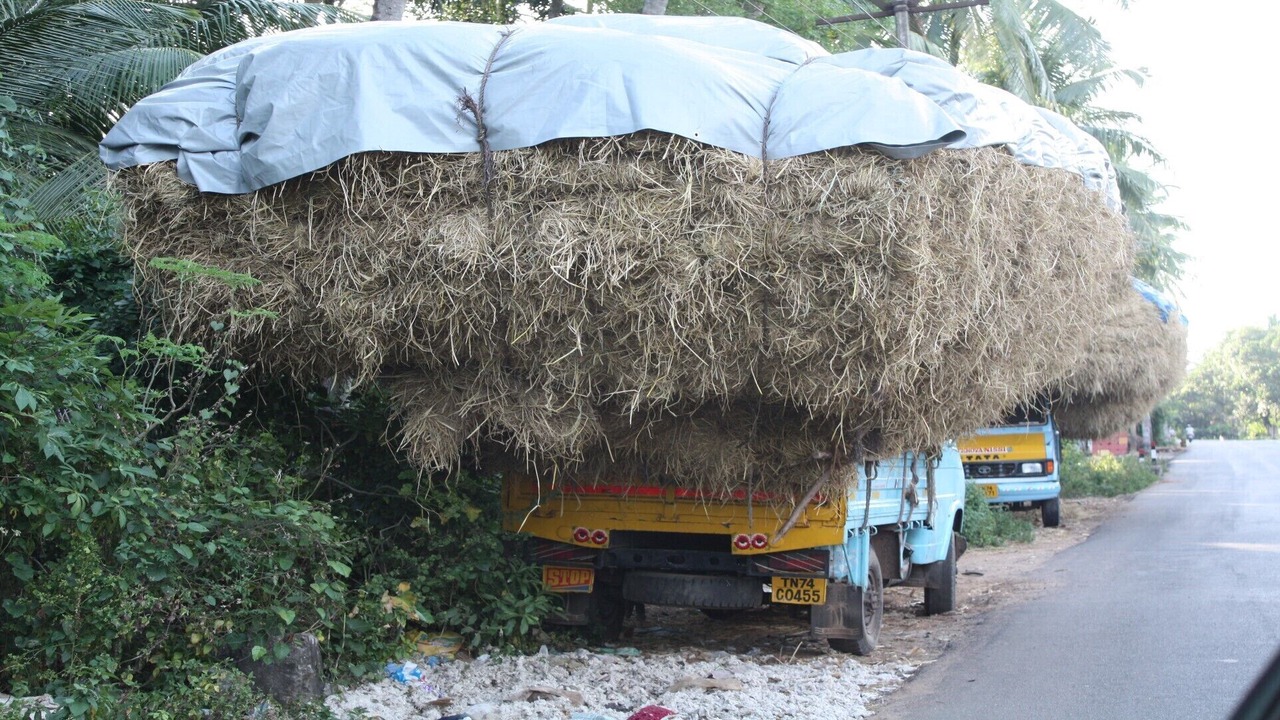 Photo of Outdoor in Kovalam