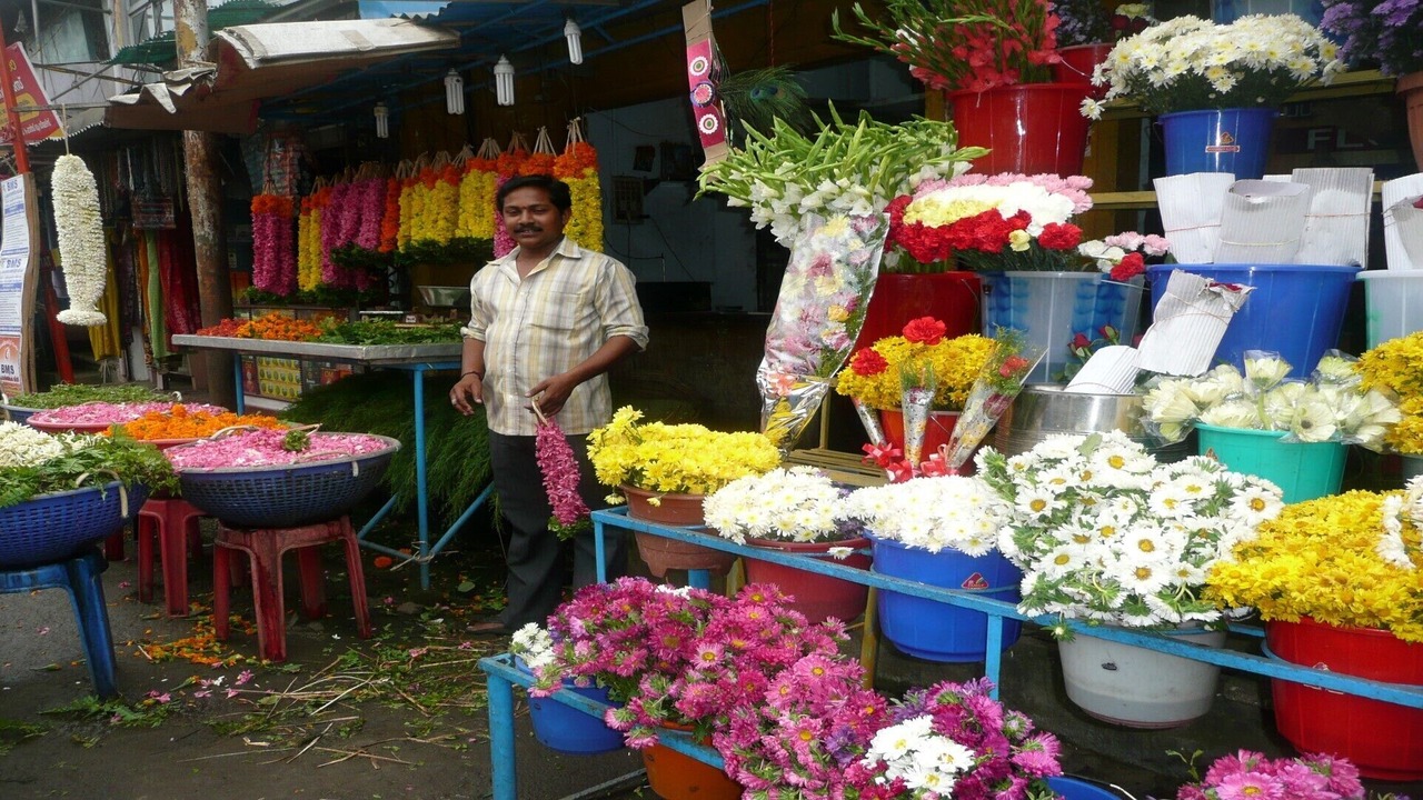 Photo of Others in Kovalam