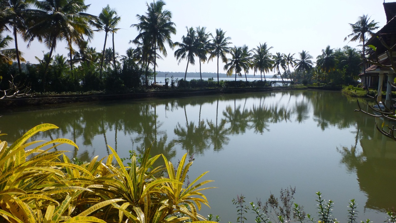Photo of Others in Thiruvananthapuram