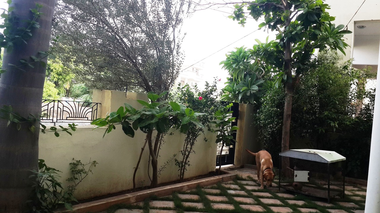 Photo of Outdoor in Udaipur District