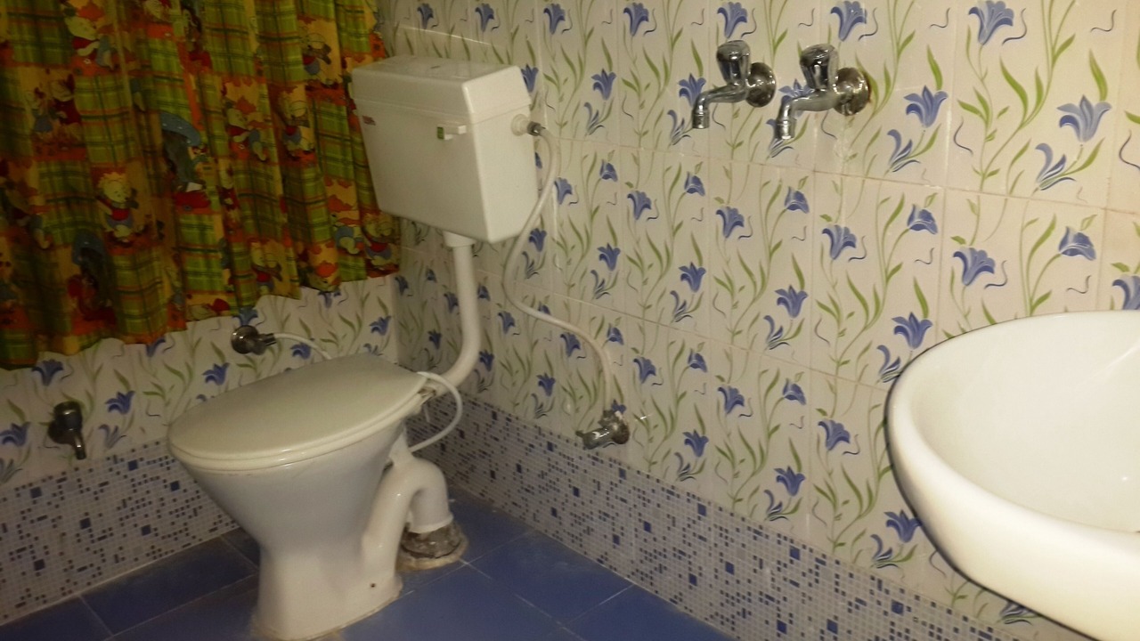 Photo of Bathroom in Udaipur District