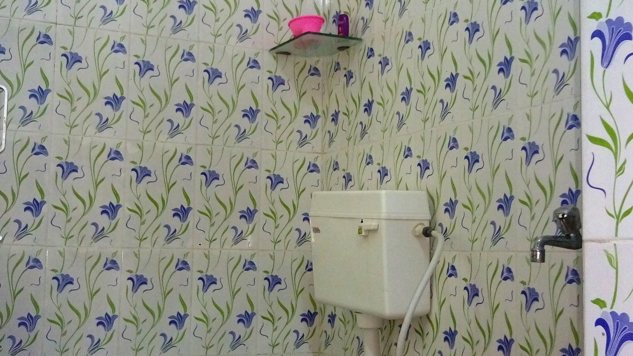 Photo of Bathroom in Udaipur District