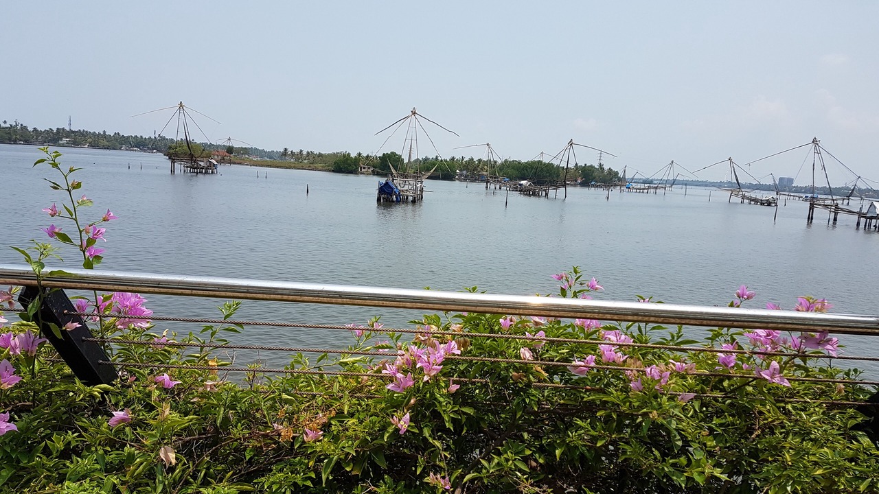 Photo of Outdoor in Kochi
