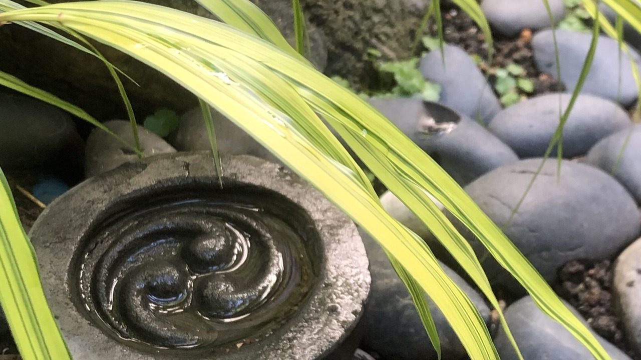 Photo of Outdoor in Horiikecho