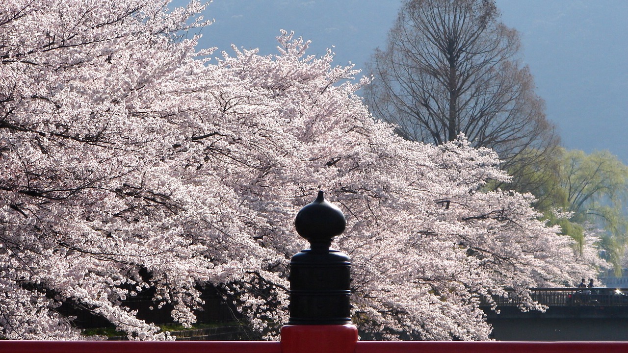 Photo of Others in Horiikecho
