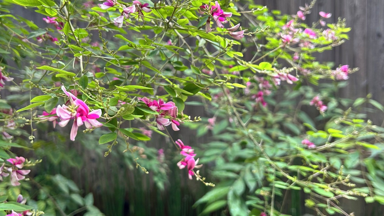 Photo of Outdoor in Horiikecho