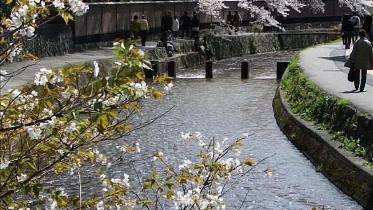 Photo of Others in Horiikecho
