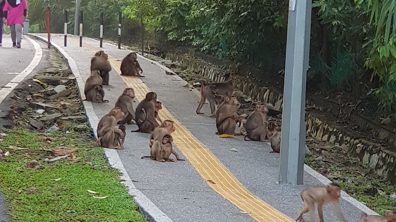 Photo of Others in Ampang