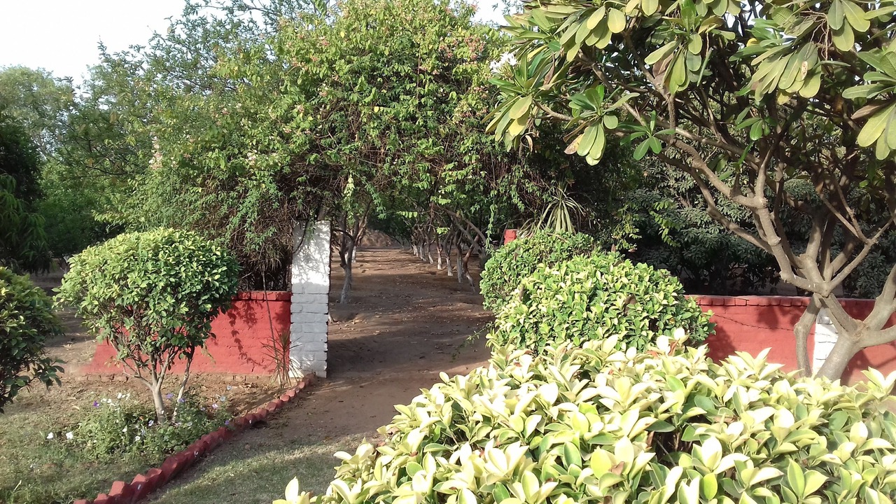 Photo of Outdoor in Gurugram