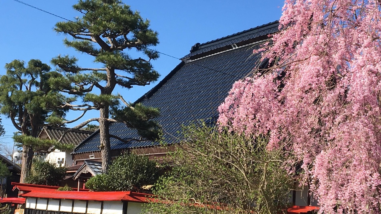 Photo of Outdoor in Ukyo Ward