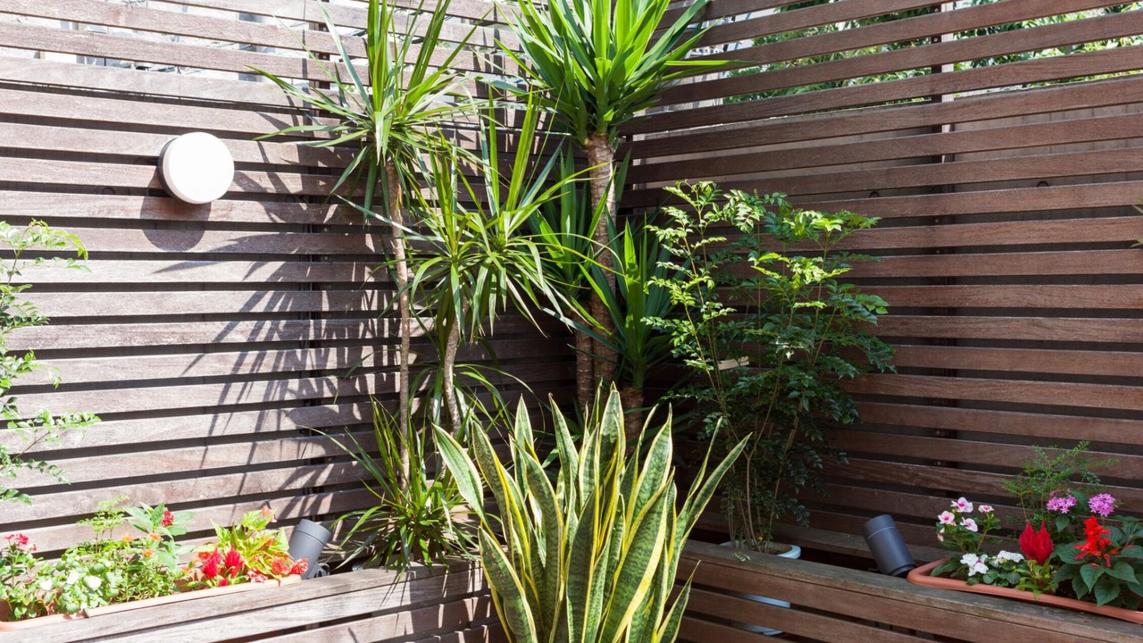 Photo of Outdoor in Nishiazabu