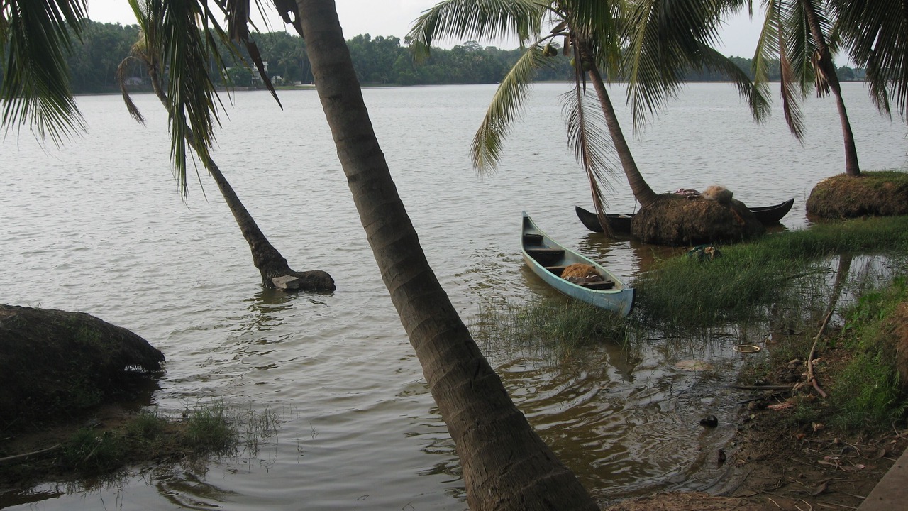 Photo of Others in Venganoor