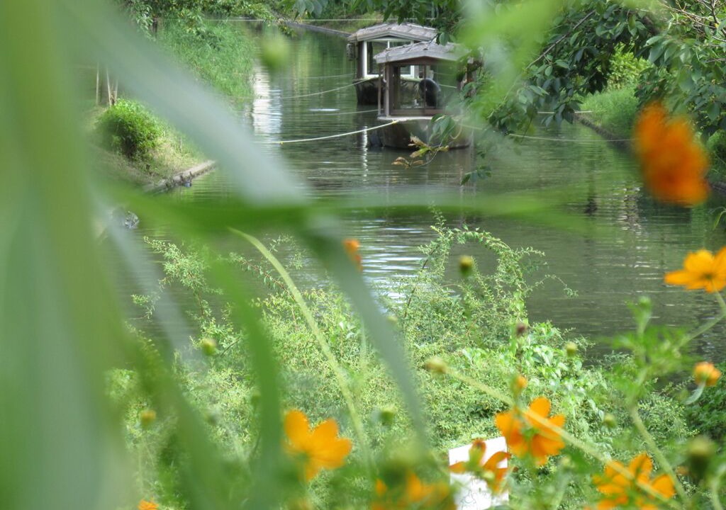 Photo of Outdoor in Fushimi