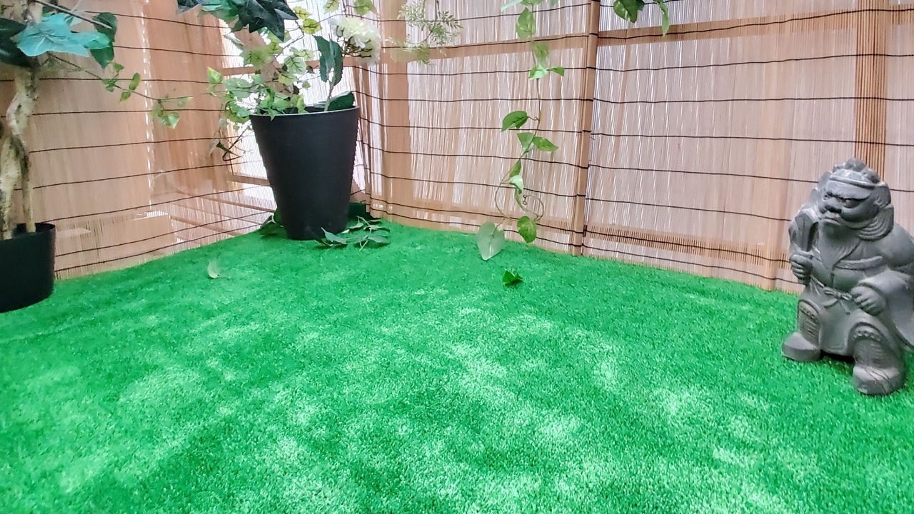 Photo of Outdoor in Nakagyo Ward