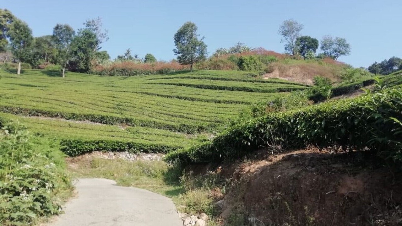 Photo of Outdoor in Pallivasal