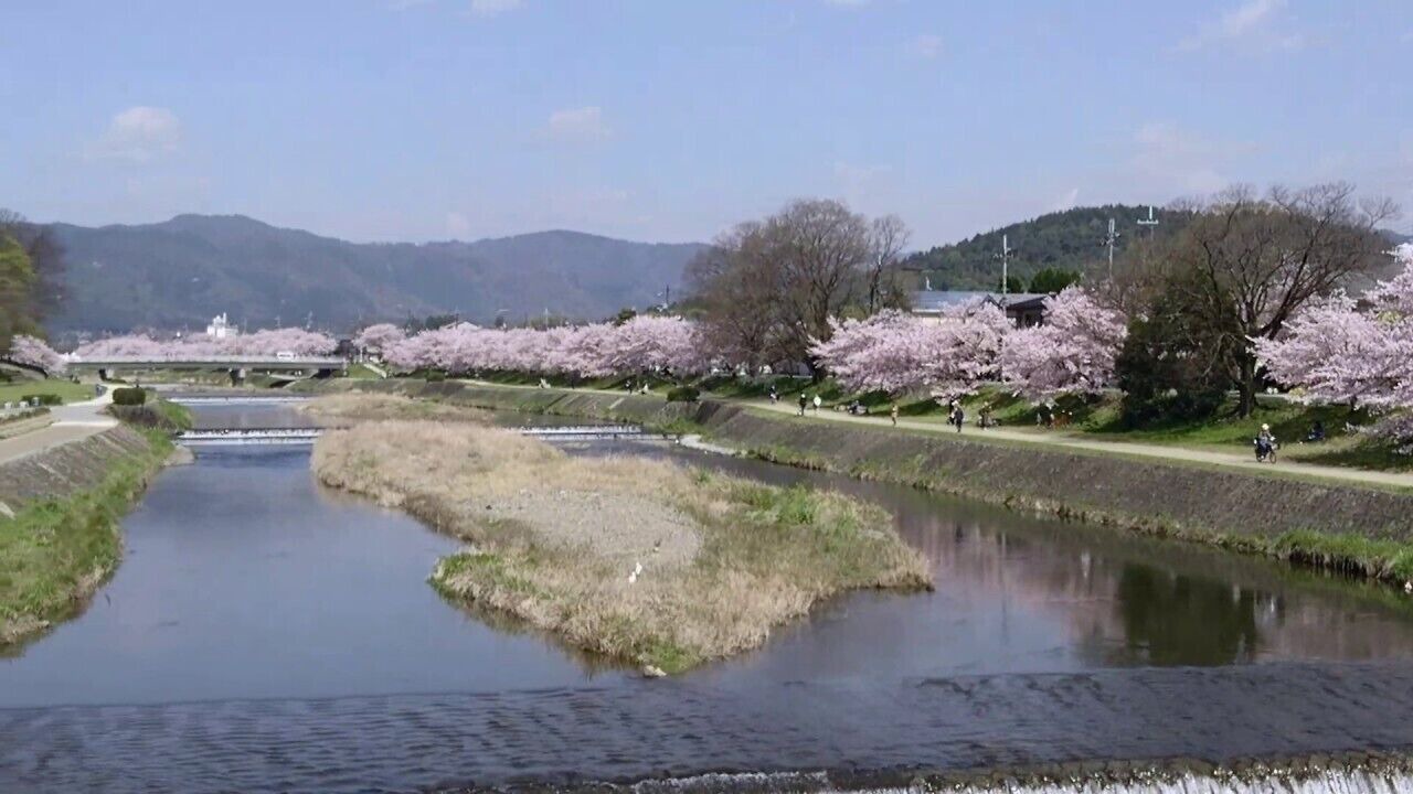 Photo of Others in Shimogyo