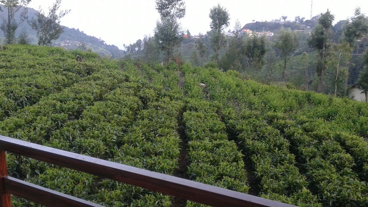 Photo of Outdoor in Coonoor