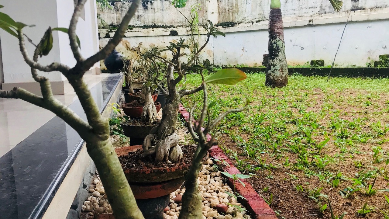 Photo of Outdoor in Changanacherry