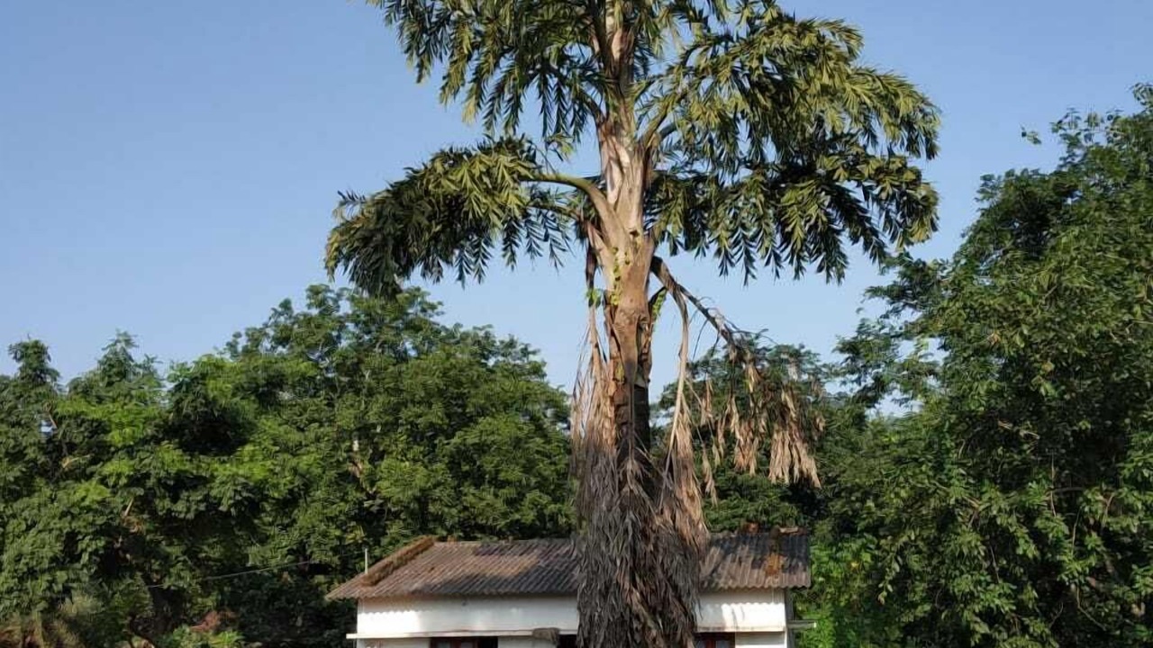 Photo of Outdoor in Chhotekawali