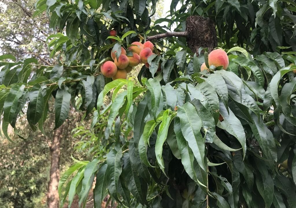 Photo of Outdoor in Ramgarh