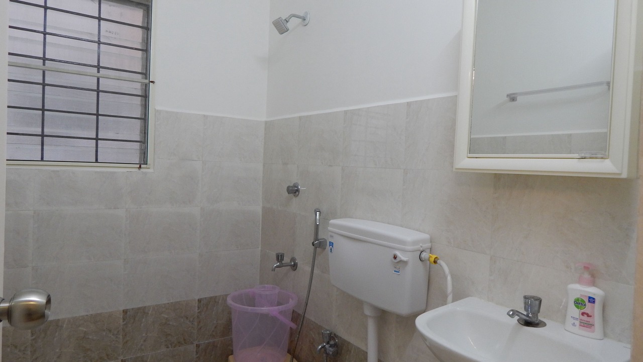 Photo of Bathroom in Vadanemelli