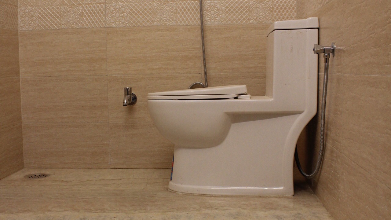 Photo of Bathroom in Sanganer
