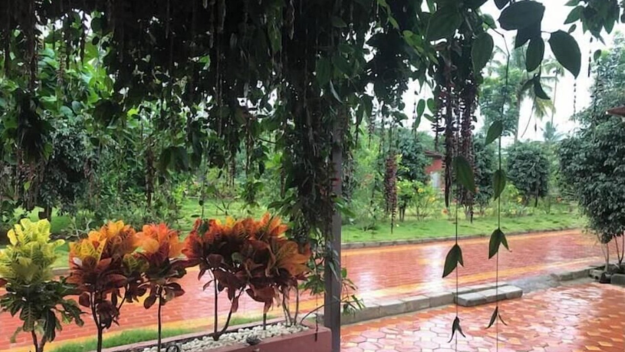 Photo of Outdoor in Nandi Hills