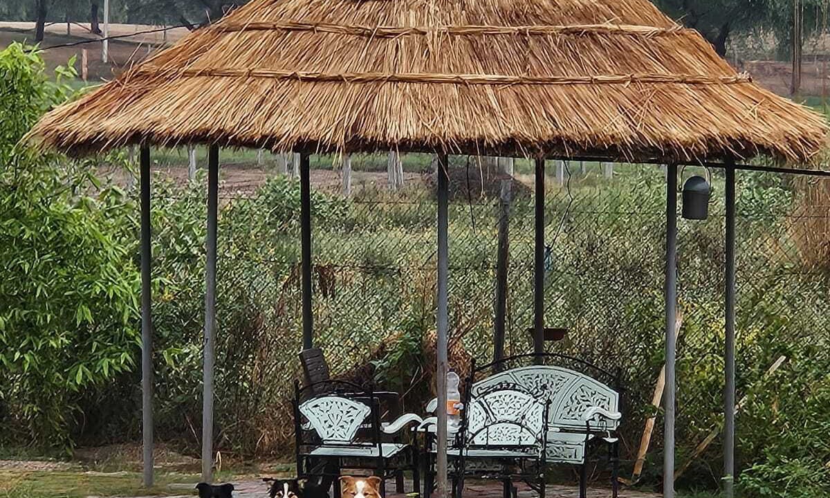 Photo of Outdoor in Jaipur District