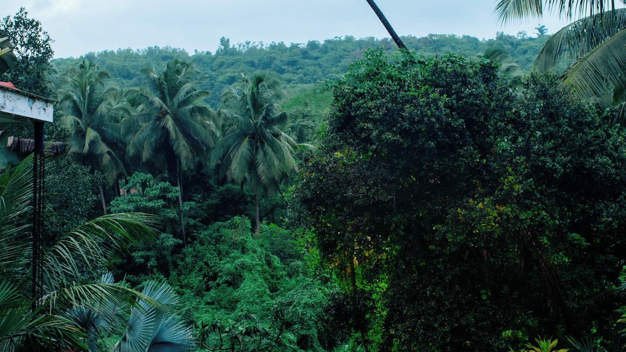 Photo of Outdoor in Kudal