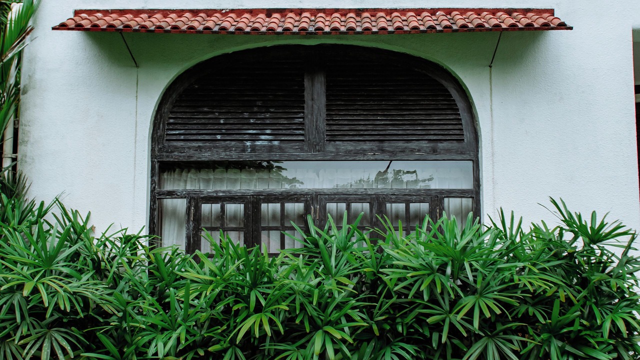 Photo of Outdoor in Kudal