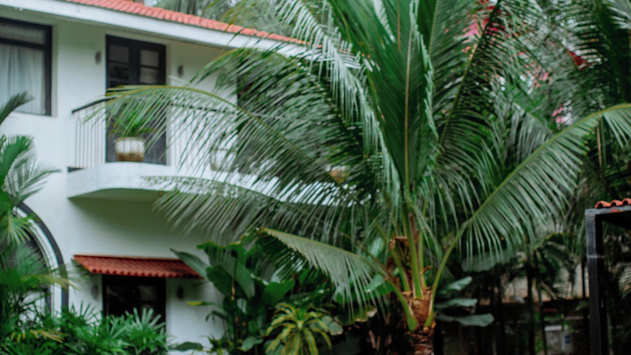 Photo of Patio Balcony in Kudal