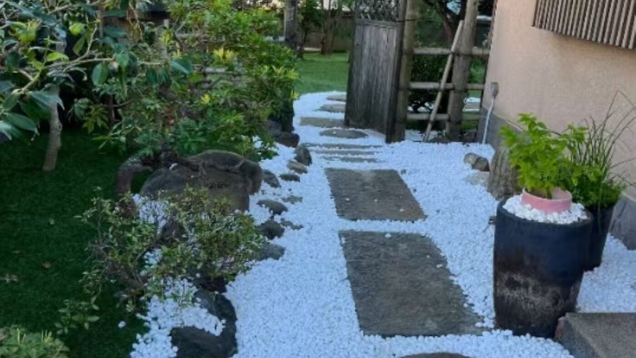 Photo of Outdoor in Nerima