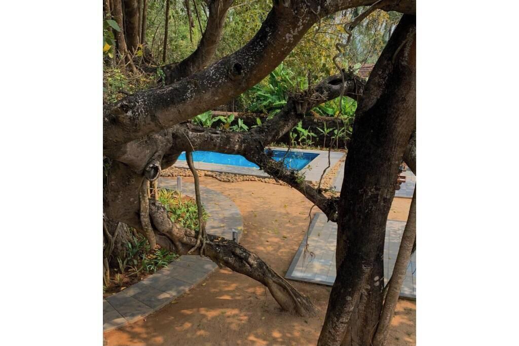Photo of Outdoor in Saunta Vaddo