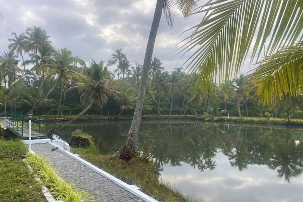 Photo of Outdoor in Kumbalangi