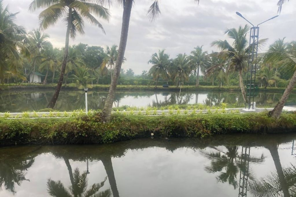 Photo of Outdoor in Kumbalangi