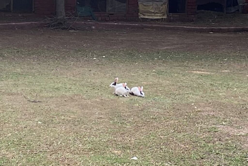 Photo of Outdoor in Gurugram