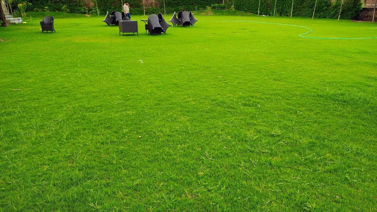 Photo of Outdoor in Sector 62
