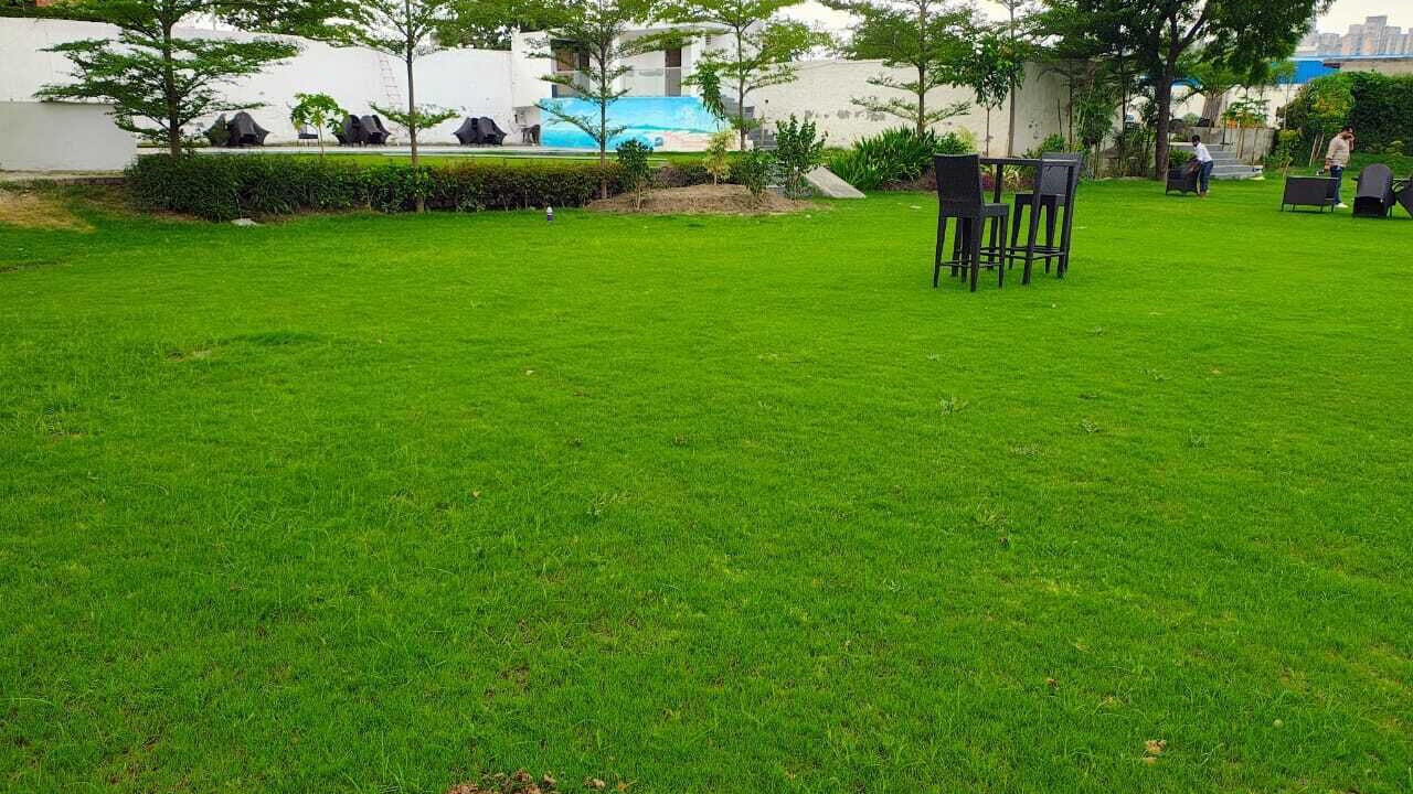 Photo of Outdoor in Sector 62