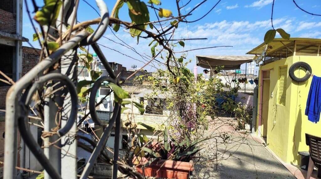 Photo of Outdoor in Pink City