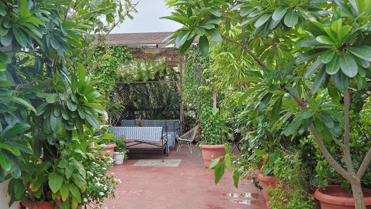 Photo of Outdoor in Raja Park