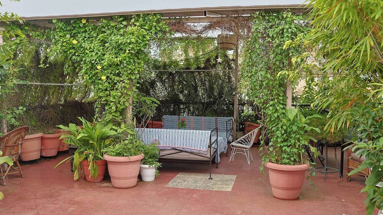 Photo of Patio Balcony in Raja Park