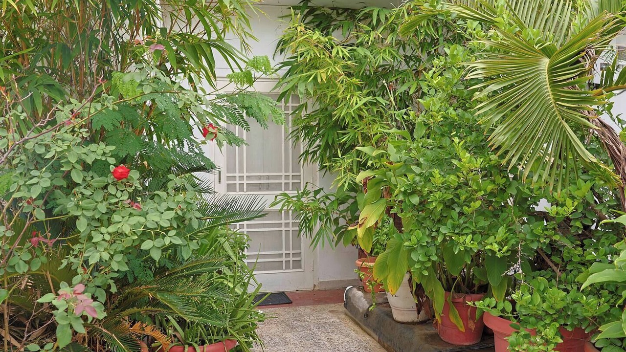 Photo of Outdoor in Jaipur